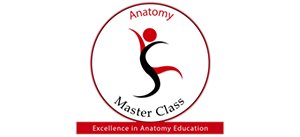 Art and Science of Kinesiology