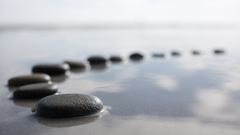 Small flat stepping stones on the surface of water.