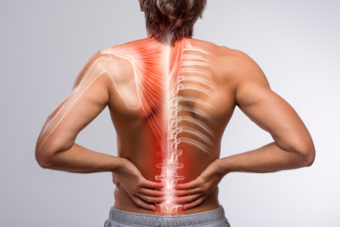 A person grabs their low back in pain as illustrtion shows muscles burning in the area.