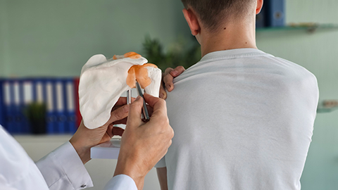 Medical professional demonstrates shoulder anatomy to patient in consultation room